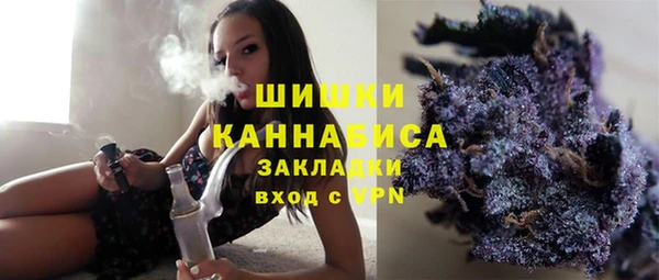 хмурый Няндома