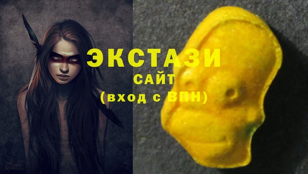 индика Нягань