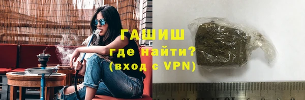 хмурый Няндома