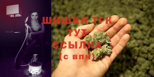 индика Нягань