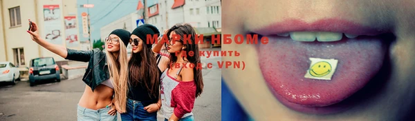 хмурый Няндома