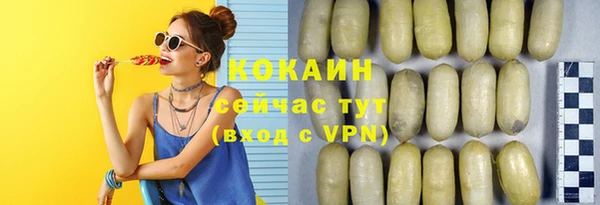 индика Нягань