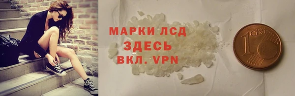 индика Нягань