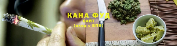 индика Нягань