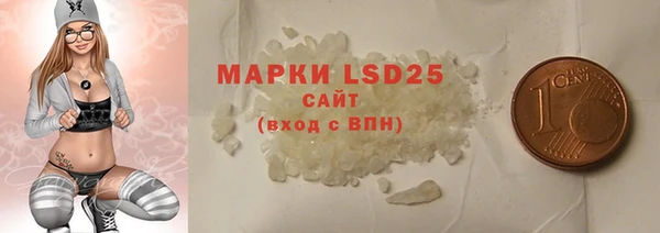 индика Нягань