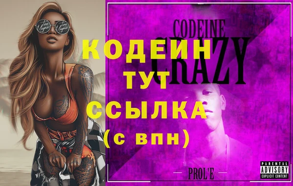 индика Нягань