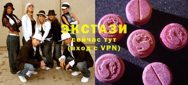 индика Нягань