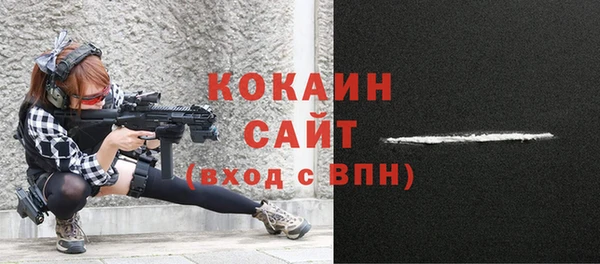 индика Нягань