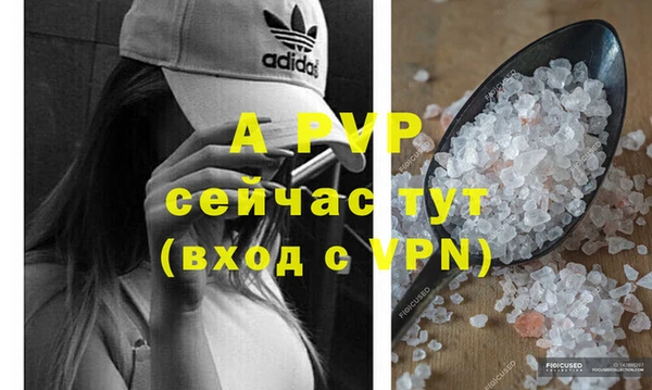 хмурый Няндома