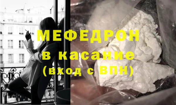 индика Нягань