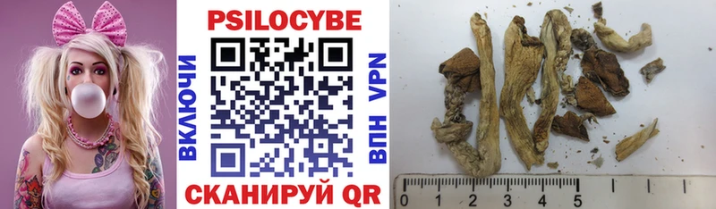 Галлюциногенные грибы Cubensis  Купино 